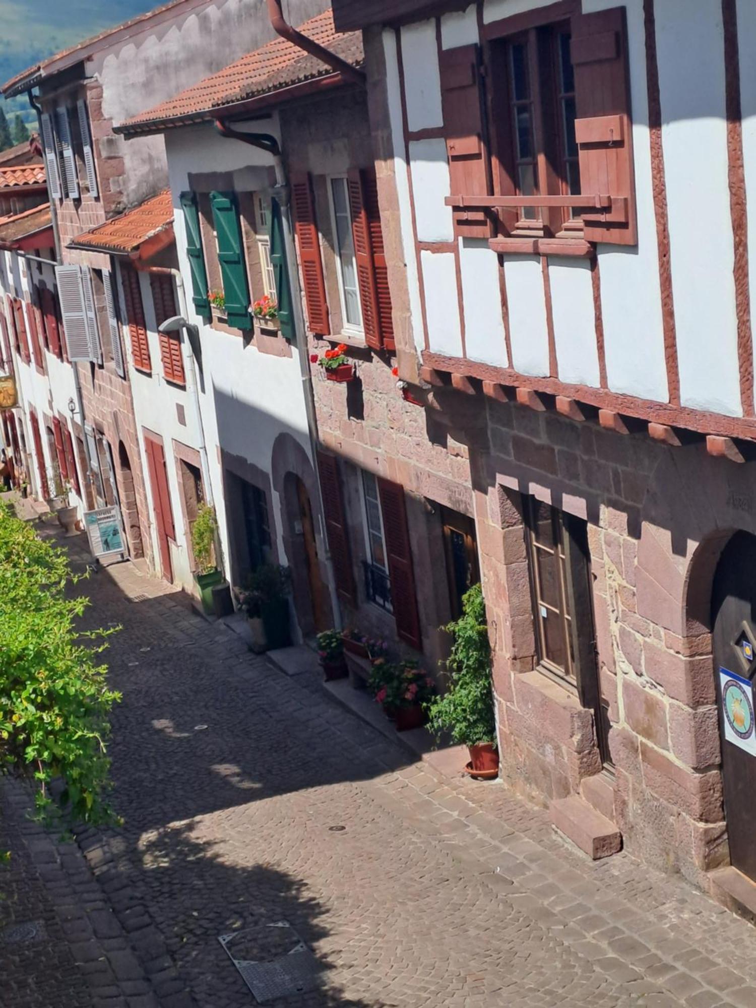 Maison Gohora Dago Saint-Jean-Pied-de-Port Exteriér fotografie